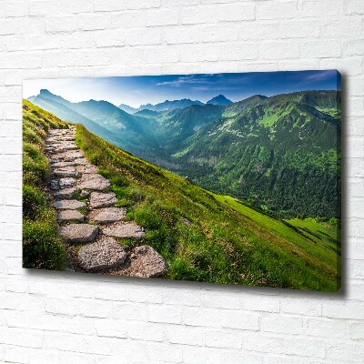 Foto canvas Wandelpad in het Tatragebergte