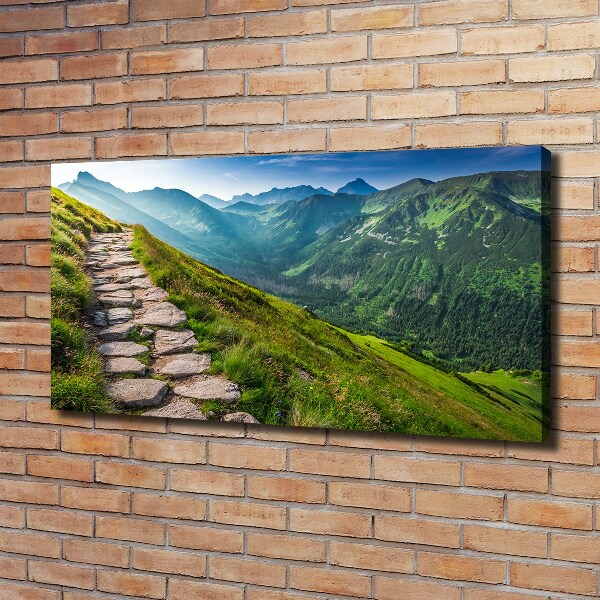 Foto canvas Wandelpad in het Tatragebergte