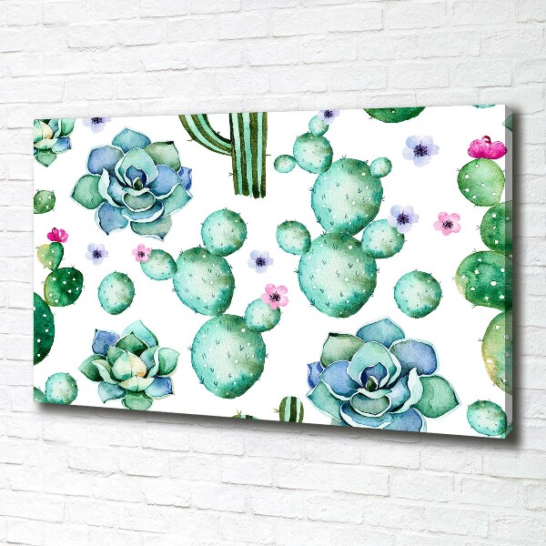 Foto canvas Cactussen