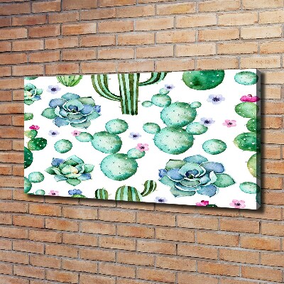 Foto canvas Cactussen