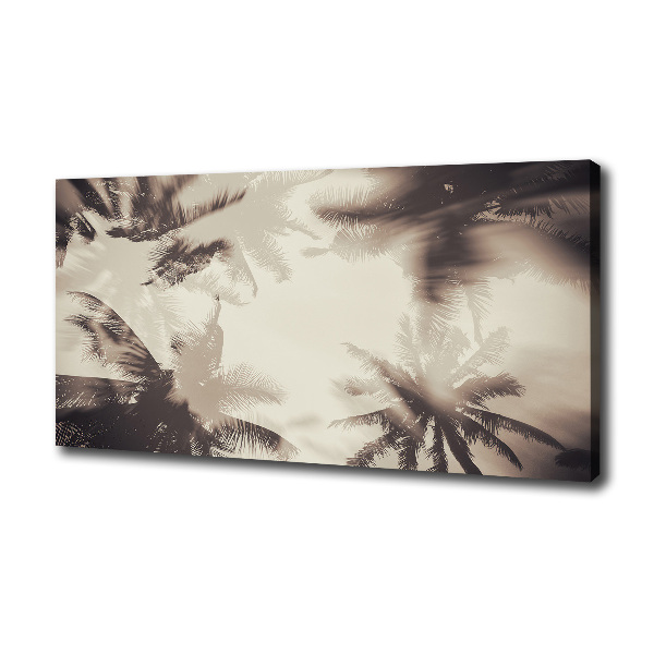 Foto canvas Palmbomen