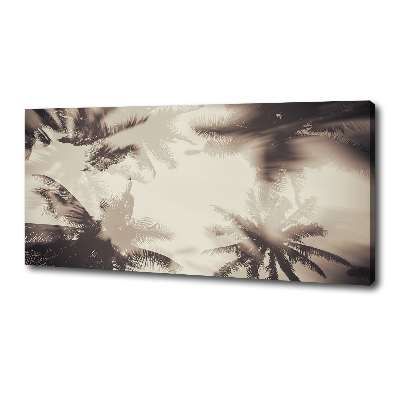 Foto canvas Palmbomen