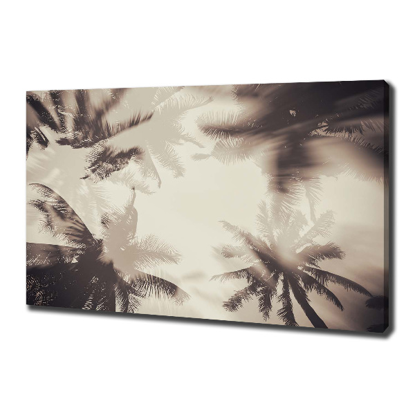 Foto canvas Palmbomen