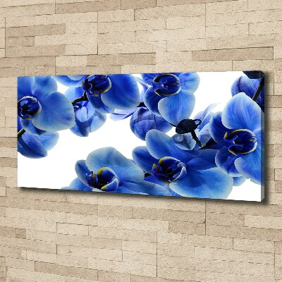 Foto op canvas Blauwe orchidee