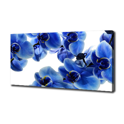 Foto op canvas Blauwe orchidee