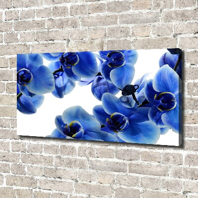 Foto op canvas Blauwe orchidee
