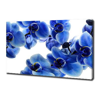 Foto op canvas Blauwe orchidee