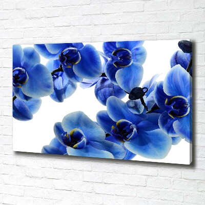 Foto op canvas Blauwe orchidee