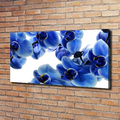 Foto op canvas Blauwe orchidee
