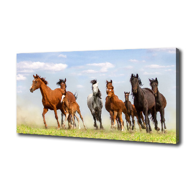 Foto canvas Paarden in galop