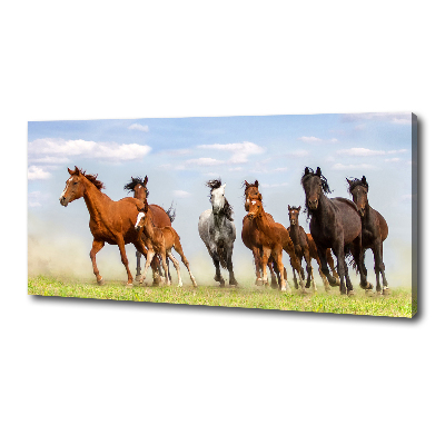 Foto canvas Paarden in galop