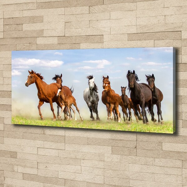 Foto canvas Paarden in galop