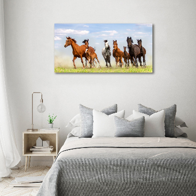 Foto canvas Paarden in galop