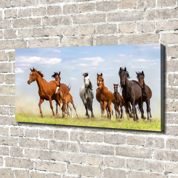 Foto canvas Paarden in galop