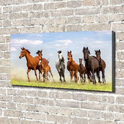Foto canvas Paarden in galop