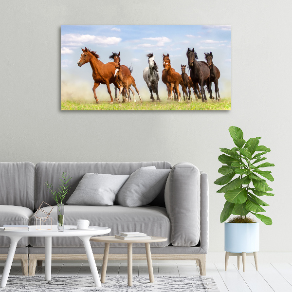 Foto canvas Paarden in galop