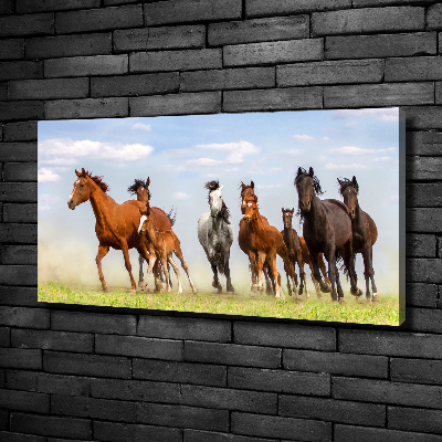 Foto canvas Paarden in galop