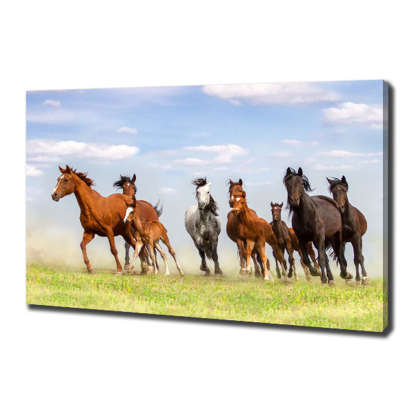 Foto canvas Paarden in galop