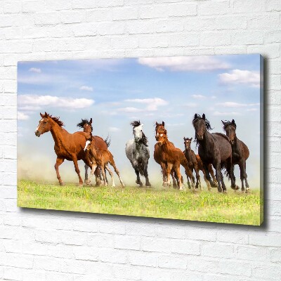 Foto canvas Paarden in galop