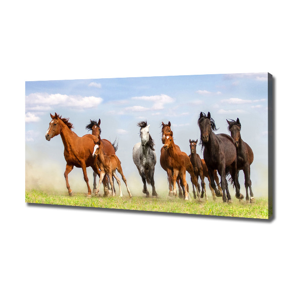 Foto canvas Paarden in galop