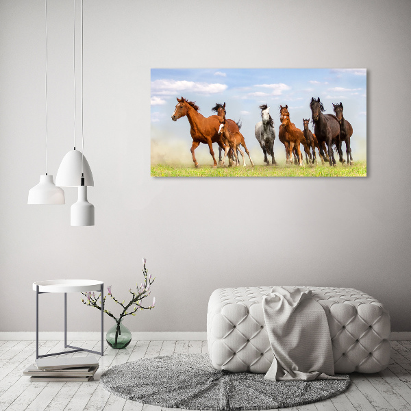 Foto canvas Paarden in galop