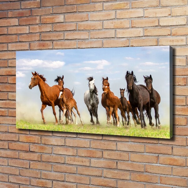 Foto canvas Paarden in galop