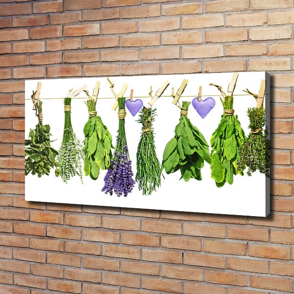 Foto canvas Kruiden aan een touwtje