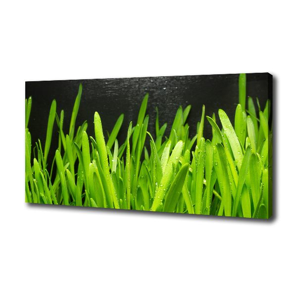 Canvas foto Gras