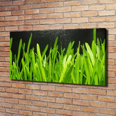 Canvas foto Gras