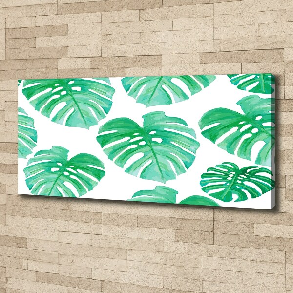 Schilderij op canvas Monstera