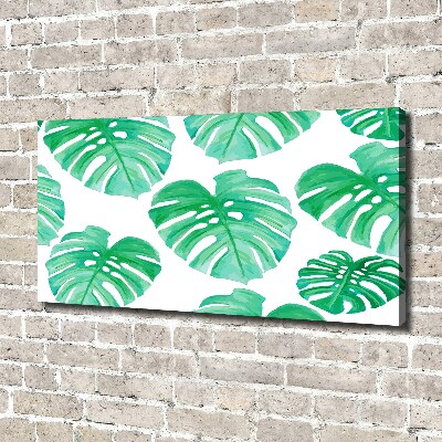 Schilderij op canvas Monstera