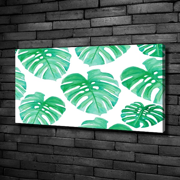 Schilderij op canvas Monstera
