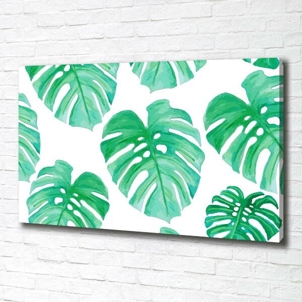 Schilderij op canvas Monstera