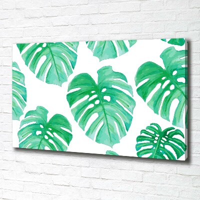 Schilderij op canvas Monstera