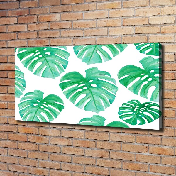 Schilderij op canvas Monstera