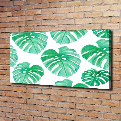Schilderij op canvas Monstera