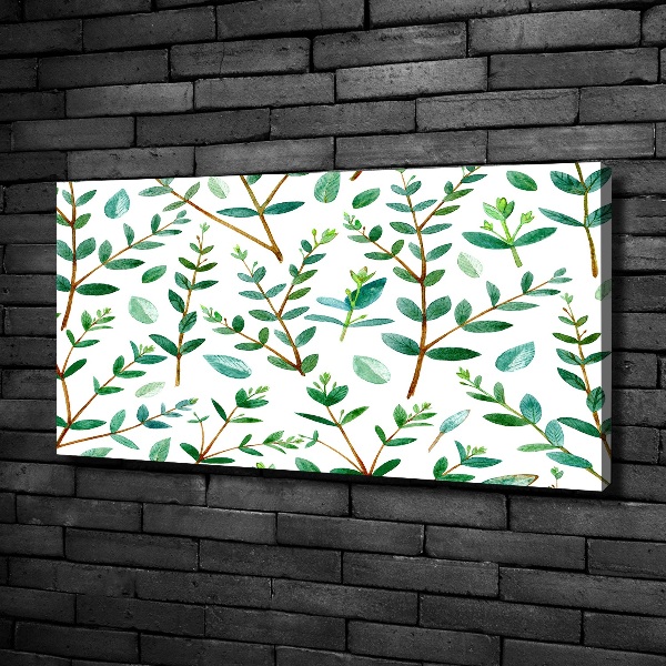 Foto canvas Eucalyptus