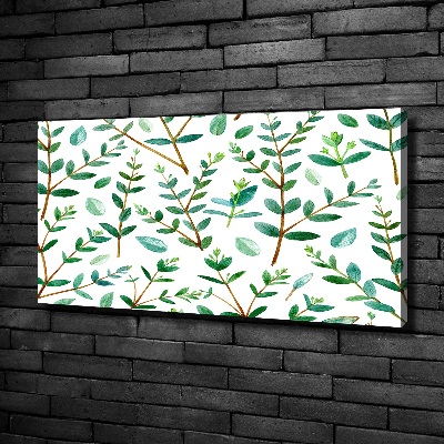 Foto canvas Eucalyptus