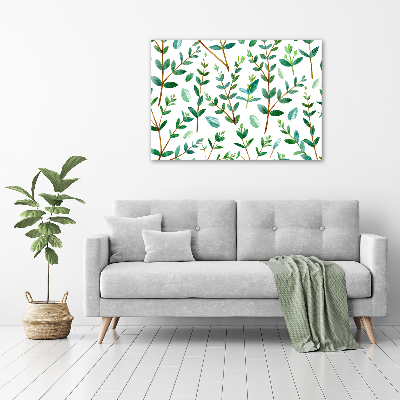 Foto canvas Eucalyptus