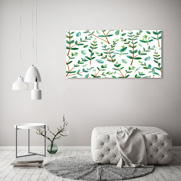 Foto canvas Eucalyptus