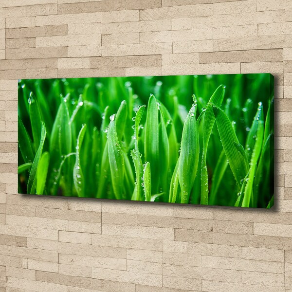 Schilderij op canvas Gras