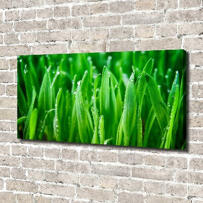 Schilderij op canvas Gras