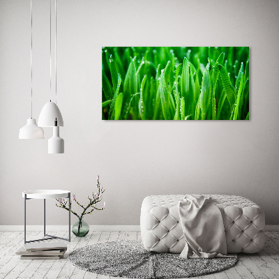 Schilderij op canvas Gras
