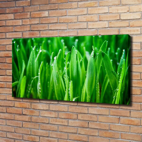 Schilderij op canvas Gras