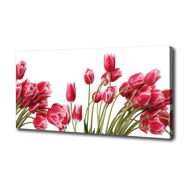Foto canvas Rode tulpen