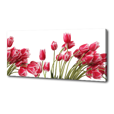 Foto canvas Rode tulpen
