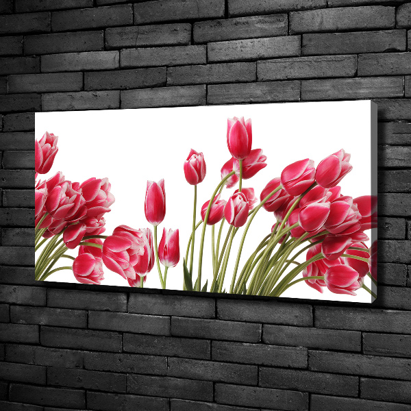 Foto canvas Rode tulpen