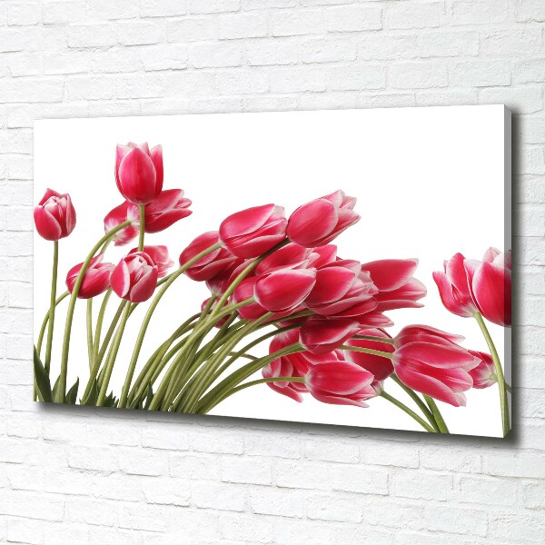 Foto canvas Rode tulpen