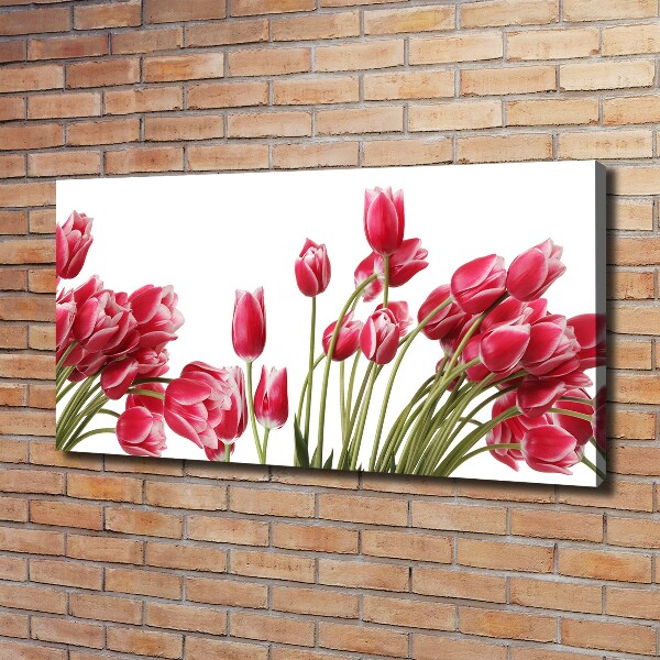 Foto canvas Rode tulpen