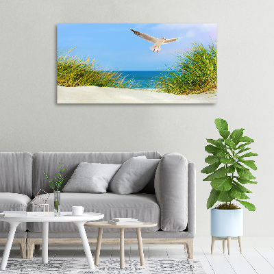 Schilderij op canvas Meeuw op het strand